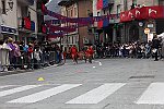 Gara delle Bighe 2011-7771
